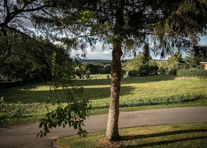 Hébergement de vacances Sommerhaus Am Nationalpark Eifel Mit Sauna Und Whirlpool